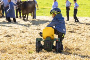 Appenzell, Appenzell Ausserrohden, Appenzeller Vorderland, Landwirtschaft, Ostschweiz, Schweiz, Suisse, Switzerland, Viehschau, Walzenhausen, Wirtschaft