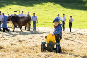 Appenzell, Appenzell Ausserrohden, Appenzeller Vorderland, Landwirtschaft, Ostschweiz, Schweiz, Suisse, Switzerland, Viehschau, Walzenhausen, Wirtschaft