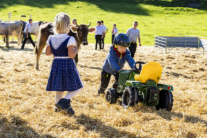 Appenzell, Appenzell Ausserrohden, Appenzeller Vorderland, Landwirtschaft, Ostschweiz, Schweiz, Suisse, Switzerland, Viehschau, Walzenhausen, Wirtschaft