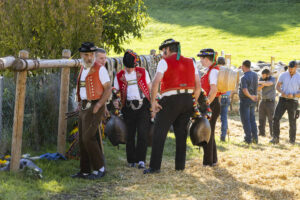 Appenzell, Appenzell Ausserrohden, Appenzeller Vorderland, Landwirtschaft, Ostschweiz, Schweiz, Suisse, Switzerland, Viehschau, Walzenhausen, Wirtschaft