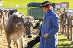 Appenzell, Appenzell Ausserrohden, Appenzeller Vorderland, Landwirtschaft, Ostschweiz, Schweiz, Suisse, Switzerland, Viehschau, Walzenhausen, Wirtschaft