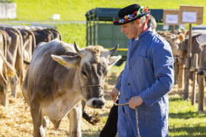 Appenzell, Appenzell Ausserrohden, Appenzeller Vorderland, Landwirtschaft, Ostschweiz, Schweiz, Suisse, Switzerland, Viehschau, Walzenhausen, Wirtschaft