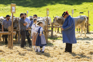 Appenzell, Appenzell Ausserrohden, Appenzeller Vorderland, Landwirtschaft, Ostschweiz, Schweiz, Suisse, Switzerland, Viehschau, Walzenhausen, Wirtschaft