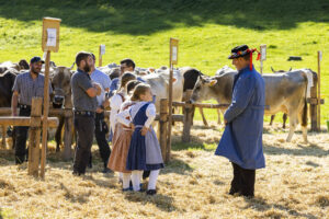 Appenzell, Appenzell Ausserrohden, Appenzeller Vorderland, Landwirtschaft, Ostschweiz, Schweiz, Suisse, Switzerland, Viehschau, Walzenhausen, Wirtschaft