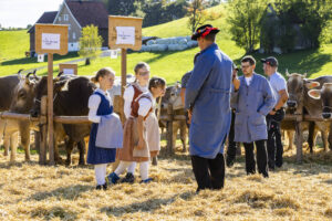 Appenzell, Appenzell Ausserrohden, Appenzeller Vorderland, Landwirtschaft, Ostschweiz, Schweiz, Suisse, Switzerland, Viehschau, Walzenhausen, Wirtschaft