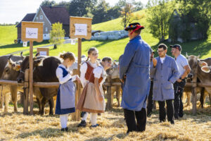 Appenzell, Appenzell Ausserrohden, Appenzeller Vorderland, Landwirtschaft, Ostschweiz, Schweiz, Suisse, Switzerland, Viehschau, Walzenhausen, Wirtschaft