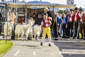 Appenzell, Appenzell Ausserrohden, Appenzeller Vorderland, Landwirtschaft, Ostschweiz, Schweiz, Suisse, Switzerland, Viehschau, Walzenhausen, Wirtschaft