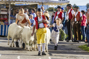 Appenzell, Appenzell Ausserrohden, Appenzeller Vorderland, Landwirtschaft, Ostschweiz, Schweiz, Suisse, Switzerland, Viehschau, Walzenhausen, Wirtschaft