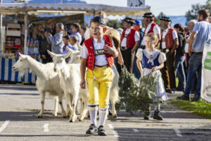 Appenzell, Appenzell Ausserrohden, Appenzeller Vorderland, Landwirtschaft, Ostschweiz, Schweiz, Suisse, Switzerland, Viehschau, Walzenhausen, Wirtschaft