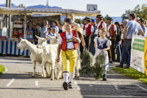 Appenzell, Appenzell Ausserrohden, Appenzeller Vorderland, Landwirtschaft, Ostschweiz, Schweiz, Suisse, Switzerland, Viehschau, Walzenhausen, Wirtschaft