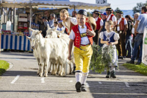 Appenzell, Appenzell Ausserrohden, Appenzeller Vorderland, Landwirtschaft, Ostschweiz, Schweiz, Suisse, Switzerland, Viehschau, Walzenhausen, Wirtschaft