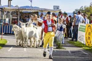 Appenzell, Appenzell Ausserrohden, Appenzeller Vorderland, Landwirtschaft, Ostschweiz, Schweiz, Suisse, Switzerland, Viehschau, Walzenhausen, Wirtschaft