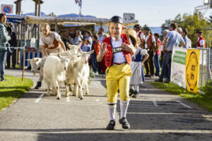 Appenzell, Appenzell Ausserrohden, Appenzeller Vorderland, Landwirtschaft, Ostschweiz, Schweiz, Suisse, Switzerland, Viehschau, Walzenhausen, Wirtschaft