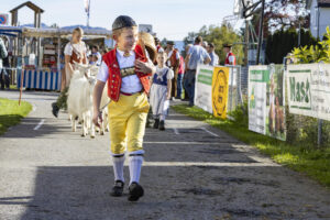Appenzell, Appenzell Ausserrohden, Appenzeller Vorderland, Landwirtschaft, Ostschweiz, Schweiz, Suisse, Switzerland, Viehschau, Walzenhausen, Wirtschaft
