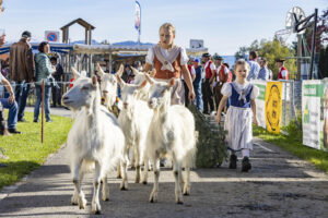 Appenzell, Appenzell Ausserrohden, Appenzeller Vorderland, Landwirtschaft, Ostschweiz, Schweiz, Suisse, Switzerland, Viehschau, Walzenhausen, Wirtschaft