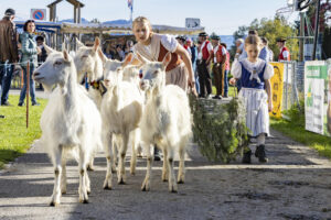 Appenzell, Appenzell Ausserrohden, Appenzeller Vorderland, Landwirtschaft, Ostschweiz, Schweiz, Suisse, Switzerland, Viehschau, Walzenhausen, Wirtschaft