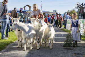 Appenzell, Appenzell Ausserrohden, Appenzeller Vorderland, Landwirtschaft, Ostschweiz, Schweiz, Suisse, Switzerland, Viehschau, Walzenhausen, Wirtschaft