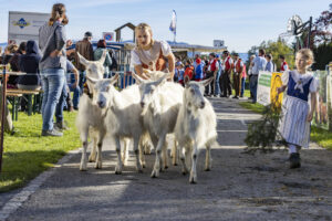 Appenzell, Appenzell Ausserrohden, Appenzeller Vorderland, Landwirtschaft, Ostschweiz, Schweiz, Suisse, Switzerland, Viehschau, Walzenhausen, Wirtschaft