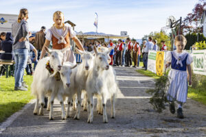 Appenzell, Appenzell Ausserrohden, Appenzeller Vorderland, Landwirtschaft, Ostschweiz, Schweiz, Suisse, Switzerland, Viehschau, Walzenhausen, Wirtschaft