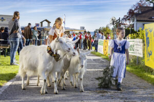 Appenzell, Appenzell Ausserrohden, Appenzeller Vorderland, Landwirtschaft, Ostschweiz, Schweiz, Suisse, Switzerland, Viehschau, Walzenhausen, Wirtschaft