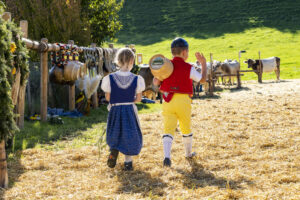 Appenzell, Appenzell Ausserrohden, Appenzeller Vorderland, Landwirtschaft, Ostschweiz, Schweiz, Suisse, Switzerland, Viehschau, Walzenhausen, Wirtschaft