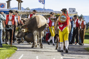 Appenzell, Appenzell Ausserrohden, Appenzeller Vorderland, Landwirtschaft, Ostschweiz, Schweiz, Suisse, Switzerland, Viehschau, Walzenhausen, Wirtschaft