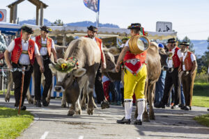 Appenzell, Appenzell Ausserrohden, Appenzeller Vorderland, Landwirtschaft, Ostschweiz, Schweiz, Suisse, Switzerland, Viehschau, Walzenhausen, Wirtschaft