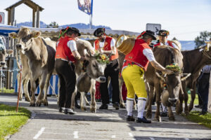 Appenzell, Appenzell Ausserrohden, Appenzeller Vorderland, Landwirtschaft, Ostschweiz, Schweiz, Suisse, Switzerland, Viehschau, Walzenhausen, Wirtschaft