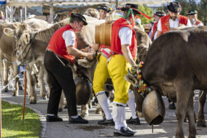 Appenzell, Appenzell Ausserrohden, Appenzeller Vorderland, Landwirtschaft, Ostschweiz, Schweiz, Suisse, Switzerland, Viehschau, Walzenhausen, Wirtschaft