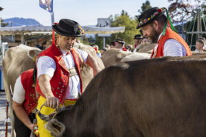 Appenzell, Appenzell Ausserrohden, Appenzeller Vorderland, Landwirtschaft, Ostschweiz, Schweiz, Suisse, Switzerland, Viehschau, Walzenhausen, Wirtschaft