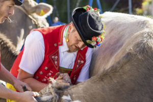 Appenzell, Appenzell Ausserrohden, Appenzeller Vorderland, Landwirtschaft, Ostschweiz, Schweiz, Suisse, Switzerland, Viehschau, Walzenhausen, Wirtschaft