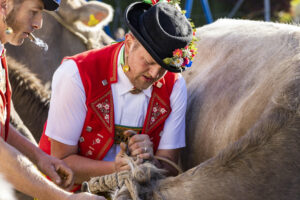 Appenzell, Appenzell Ausserrohden, Appenzeller Vorderland, Landwirtschaft, Ostschweiz, Schweiz, Suisse, Switzerland, Viehschau, Walzenhausen, Wirtschaft