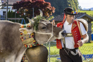 Appenzell, Appenzell Ausserrohden, Appenzeller Vorderland, Landwirtschaft, Ostschweiz, Schweiz, Suisse, Switzerland, Viehschau, Walzenhausen, Wirtschaft