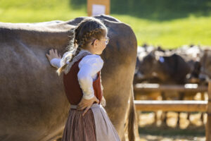 Appenzell, Appenzell Ausserrohden, Appenzeller Vorderland, Landwirtschaft, Ostschweiz, Schweiz, Suisse, Switzerland, Viehschau, Walzenhausen, Wirtschaft