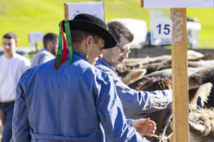 Appenzell, Appenzell Ausserrohden, Appenzeller Vorderland, Landwirtschaft, Ostschweiz, Schweiz, Suisse, Switzerland, Viehschau, Walzenhausen, Wirtschaft