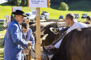 Appenzell, Appenzell Ausserrohden, Appenzeller Vorderland, Landwirtschaft, Ostschweiz, Schweiz, Suisse, Switzerland, Viehschau, Walzenhausen, Wirtschaft