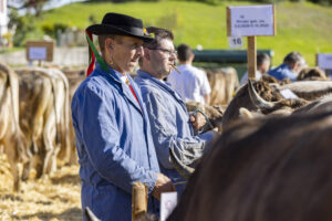 Appenzell, Appenzell Ausserrohden, Appenzeller Vorderland, Landwirtschaft, Ostschweiz, Schweiz, Suisse, Switzerland, Viehschau, Walzenhausen, Wirtschaft
