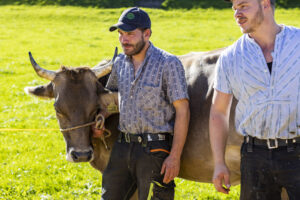 Appenzell, Appenzell Ausserrohden, Appenzeller Vorderland, Landwirtschaft, Ostschweiz, Schweiz, Suisse, Switzerland, Viehschau, Walzenhausen, Wirtschaft