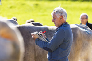 Appenzell, Appenzell Ausserrohden, Appenzeller Vorderland, Landwirtschaft, Ostschweiz, Schweiz, Suisse, Switzerland, Viehschau, Walzenhausen, Wirtschaft