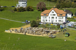 Appenzell, Appenzell Ausserrohden, Appenzeller Vorderland, Landwirtschaft, Ostschweiz, Schweiz, Suisse, Switzerland, Viehschau, Walzenhausen, Wirtschaft