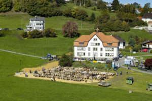 Appenzell, Appenzell Ausserrohden, Appenzeller Vorderland, Landwirtschaft, Ostschweiz, Schweiz, Suisse, Switzerland, Viehschau, Walzenhausen, Wirtschaft