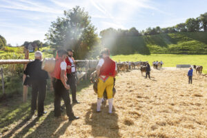 Appenzell, Appenzell Ausserrohden, Appenzeller Vorderland, Landwirtschaft, Ostschweiz, Schweiz, Suisse, Switzerland, Viehschau, Walzenhausen, Wirtschaft
