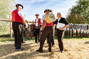 Appenzell, Appenzell Ausserrohden, Appenzeller Vorderland, Landwirtschaft, Ostschweiz, Schweiz, Suisse, Switzerland, Viehschau, Walzenhausen, Wirtschaft