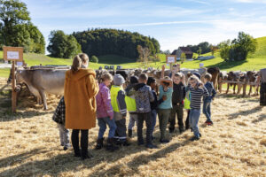 Appenzell, Appenzell Ausserrohden, Appenzeller Vorderland, Landwirtschaft, Ostschweiz, Schweiz, Suisse, Switzerland, Viehschau, Walzenhausen, Wirtschaft