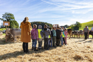 Appenzell, Appenzell Ausserrohden, Appenzeller Vorderland, Landwirtschaft, Ostschweiz, Schweiz, Suisse, Switzerland, Viehschau, Walzenhausen, Wirtschaft
