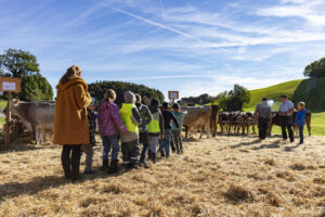 Appenzell, Appenzell Ausserrohden, Appenzeller Vorderland, Landwirtschaft, Ostschweiz, Schweiz, Suisse, Switzerland, Viehschau, Walzenhausen, Wirtschaft