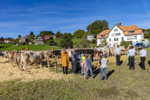 Appenzell, Appenzell Ausserrohden, Appenzeller Vorderland, Landwirtschaft, Ostschweiz, Schweiz, Suisse, Switzerland, Viehschau, Walzenhausen, Wirtschaft