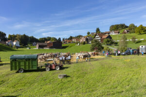 Appenzell, Appenzell Ausserrohden, Appenzeller Vorderland, Landwirtschaft, Ostschweiz, Schweiz, Suisse, Switzerland, Viehschau, Walzenhausen, Wirtschaft