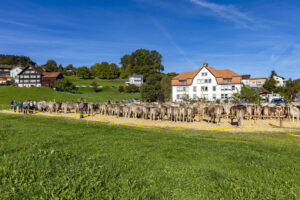 Appenzell, Appenzell Ausserrohden, Appenzeller Vorderland, Landwirtschaft, Ostschweiz, Schweiz, Suisse, Switzerland, Viehschau, Walzenhausen, Wirtschaft