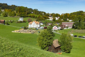Appenzell, Appenzell Ausserrohden, Appenzeller Vorderland, Landwirtschaft, Ostschweiz, Schweiz, Suisse, Switzerland, Viehschau, Walzenhausen, Wirtschaft